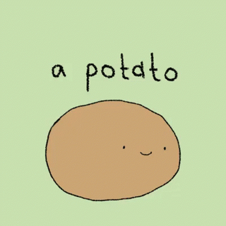 The Developer Potato profile picture